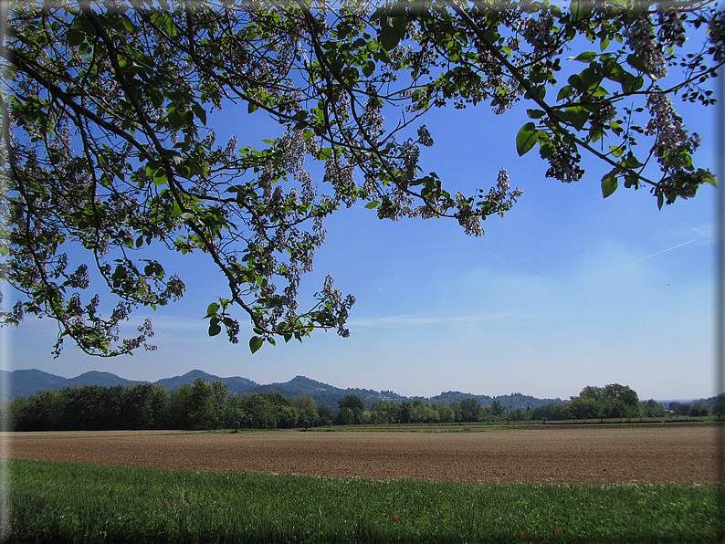 foto Paesaggi tra i Colli